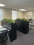 Mew Zealand Office Fern planter made by Decorflowers.co.nz