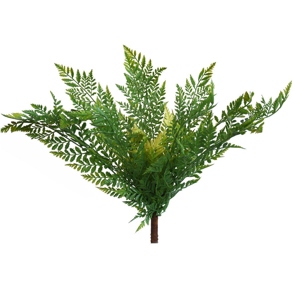 Popular New Zealand fern bush from Decorflowers.co.nz