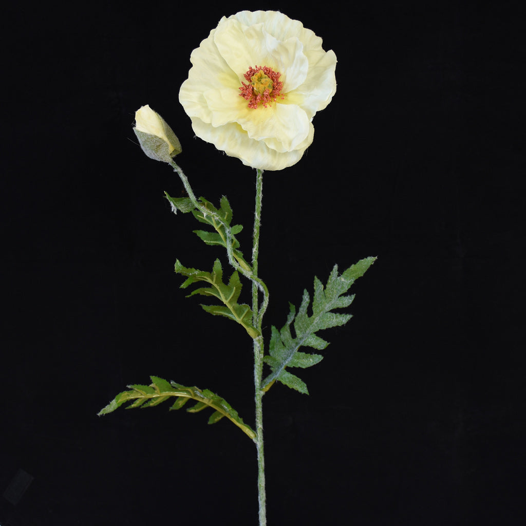 Single Poppy flower from Decorflowers.co.nz