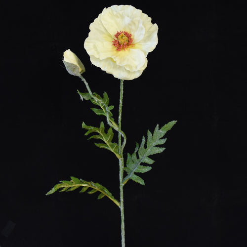 Single Poppy flower from Decorflowers.co.nz