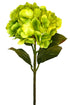 Hydrangea Spray - Green