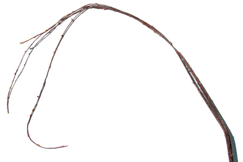 Tortured Willow 125cm - Box Lot Deal (4)