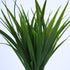 Grass, Wild Bush - Dark Green
