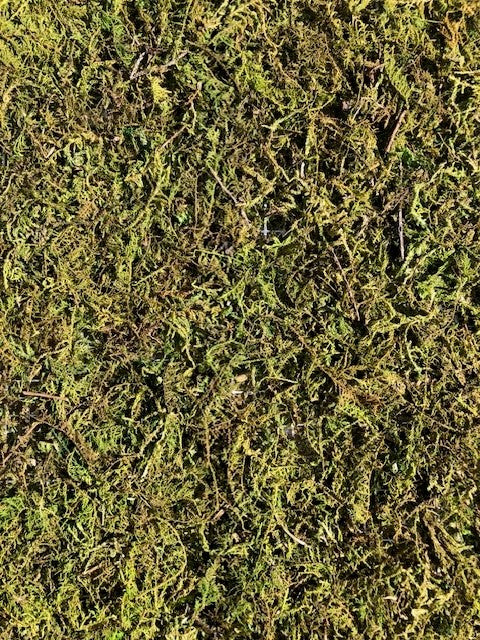 Moss Sheet - Artificial - 50cm x 30cm