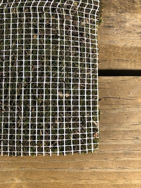 Moss Sheet - Artificial - 50cm x 30cm