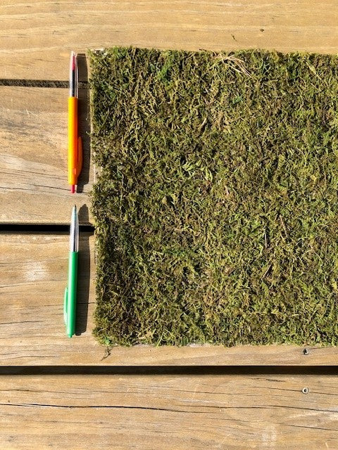 Moss Sheet - Artificial - 50cm x 30cm