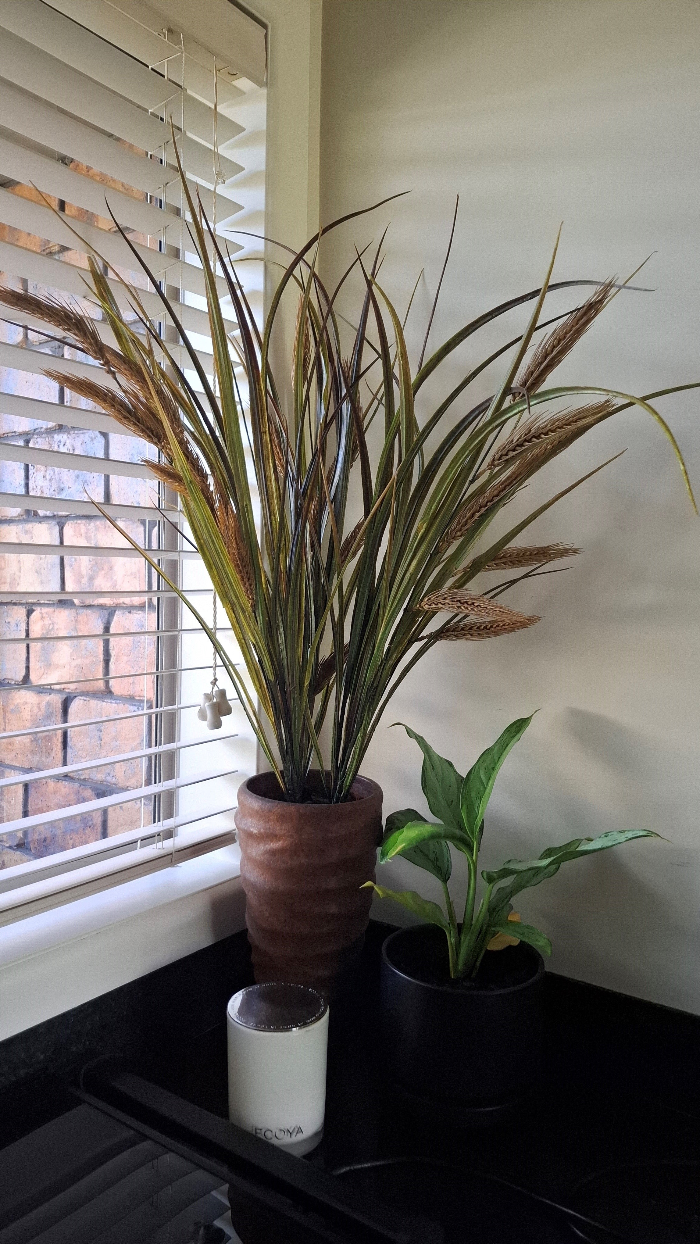 Wheat or Hops Grass - 90cm