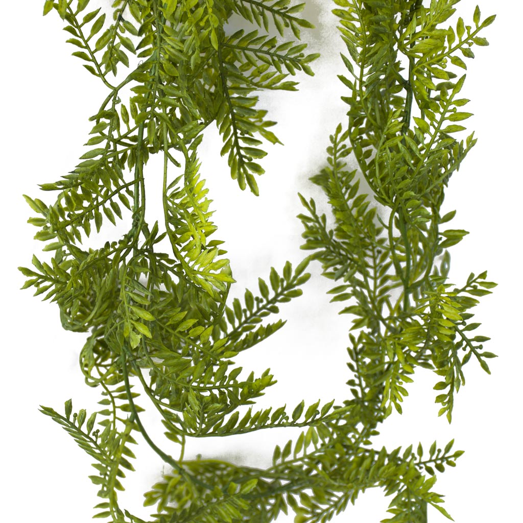 Asparagus Fern Garland - 5.5ft - Box Lot Deal (6)