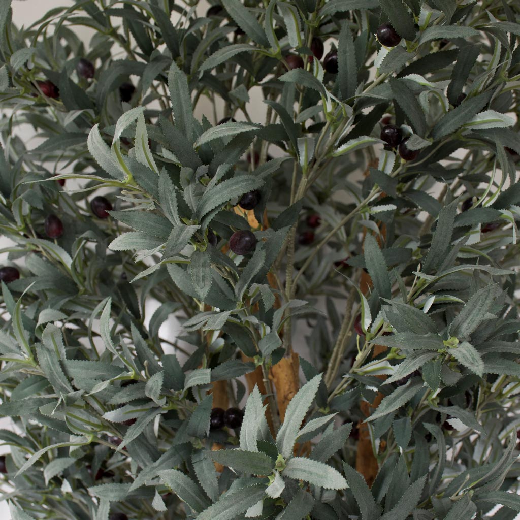 Olive Tree - Artificial 180cm ✰✰✰ SHOWROOM SPECIAL ✰✰✰