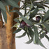 Olive Tree - Artificial 180cm ✰✰✰ SHOWROOM SPECIAL ✰✰✰