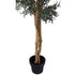 Olive Tree - Artificial 180cm ✰✰✰ SHOWROOM SPECIAL ✰✰✰