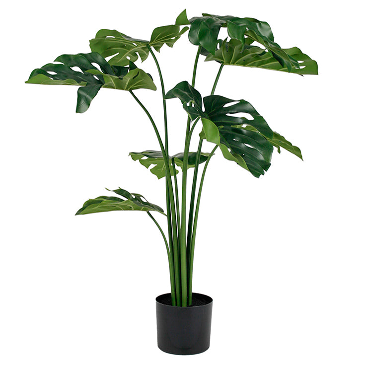 Monstera Plant 105cm