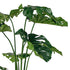 Monstera Plant 105cm