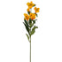 Alstromeria Spray (Peruvian Lilly) - Burnt Yellow - Box Lot Deal (6)