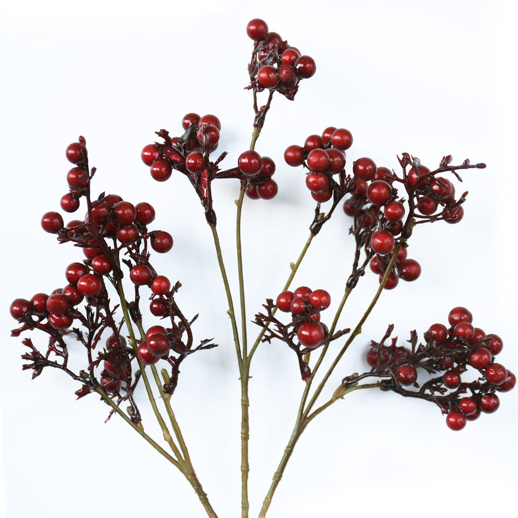 Karaka Berry Spray - Red - Box Lot Deal (6)