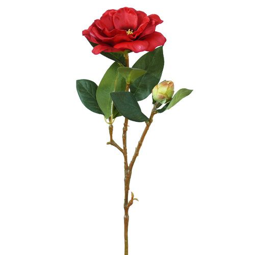 Camellia flower - Red