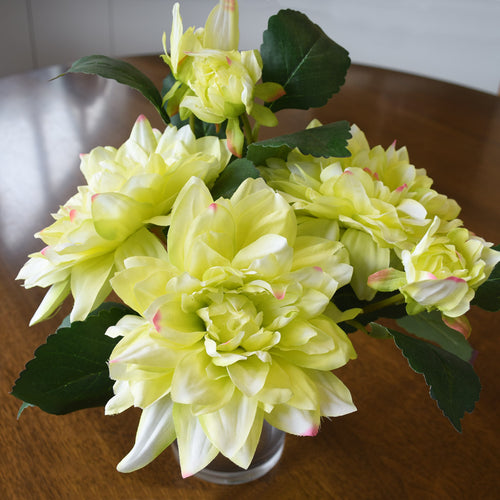 Dahlia Flower Bouquet - Lemon Cream