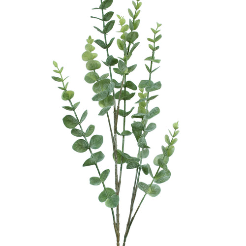 Eucalyptus Spray - Natural Sage Green