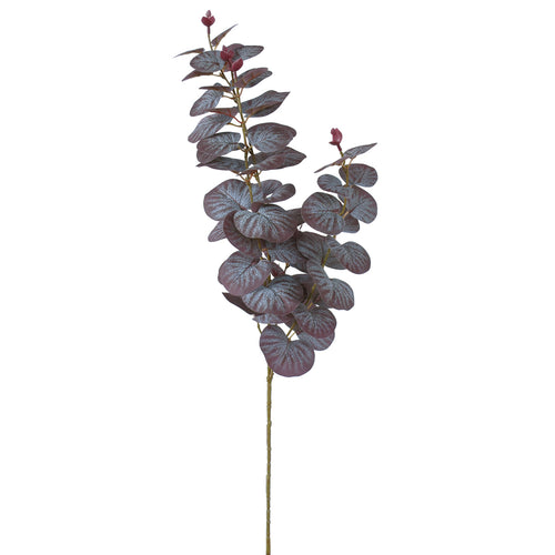 Eucalyptus Spray - Natural Plum Colour