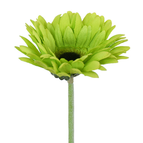 Lime green artificial Gerbera flower from www.decorflowers.co.nz