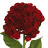 Hydrangea Spray - Mophead - Ruby Red Box Lot Deal (6)