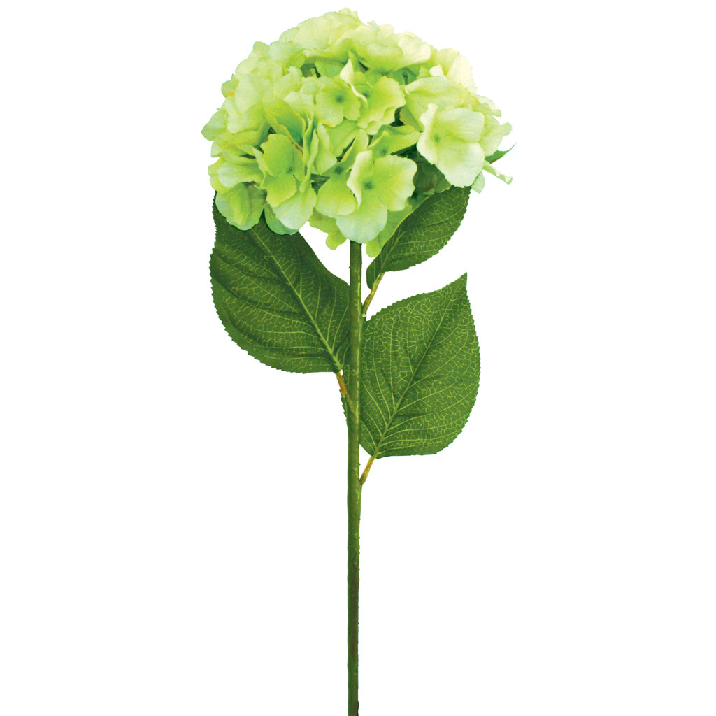 Hydrangea Spray - Mophead - Green