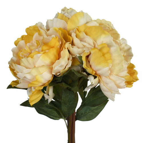 Peony Bouquet - Burnt Cream colour ✰✰✰ SPECIAL ✰✰✰
