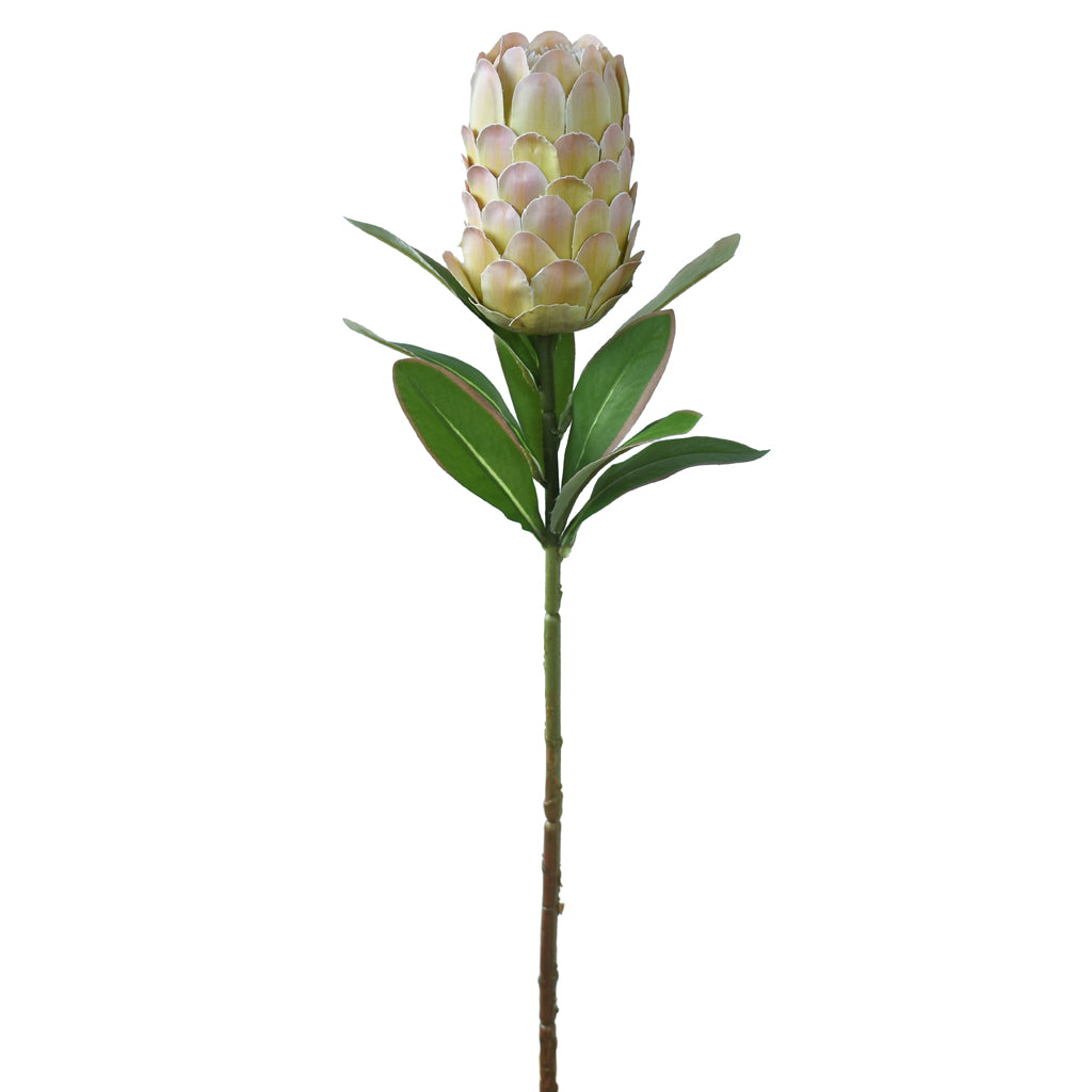 Protea Flower Artificial - Long stem, Autumn Green