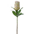Protea Flower Artificial - Long stem, Autumn Green