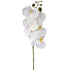 Orchid Phalaenopsis - Artificial - White ✰✰✰ HALF PRICE SPECIAL ✰✰✰
