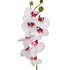 Orchid with leaves - White Pink - 60cm ✰✰✰ HALF PRICE SPECIAL ✰✰✰