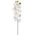 Orchid stem - White - 60cm ✰✰✰ HALF PRICE SPECIAL ✰✰✰