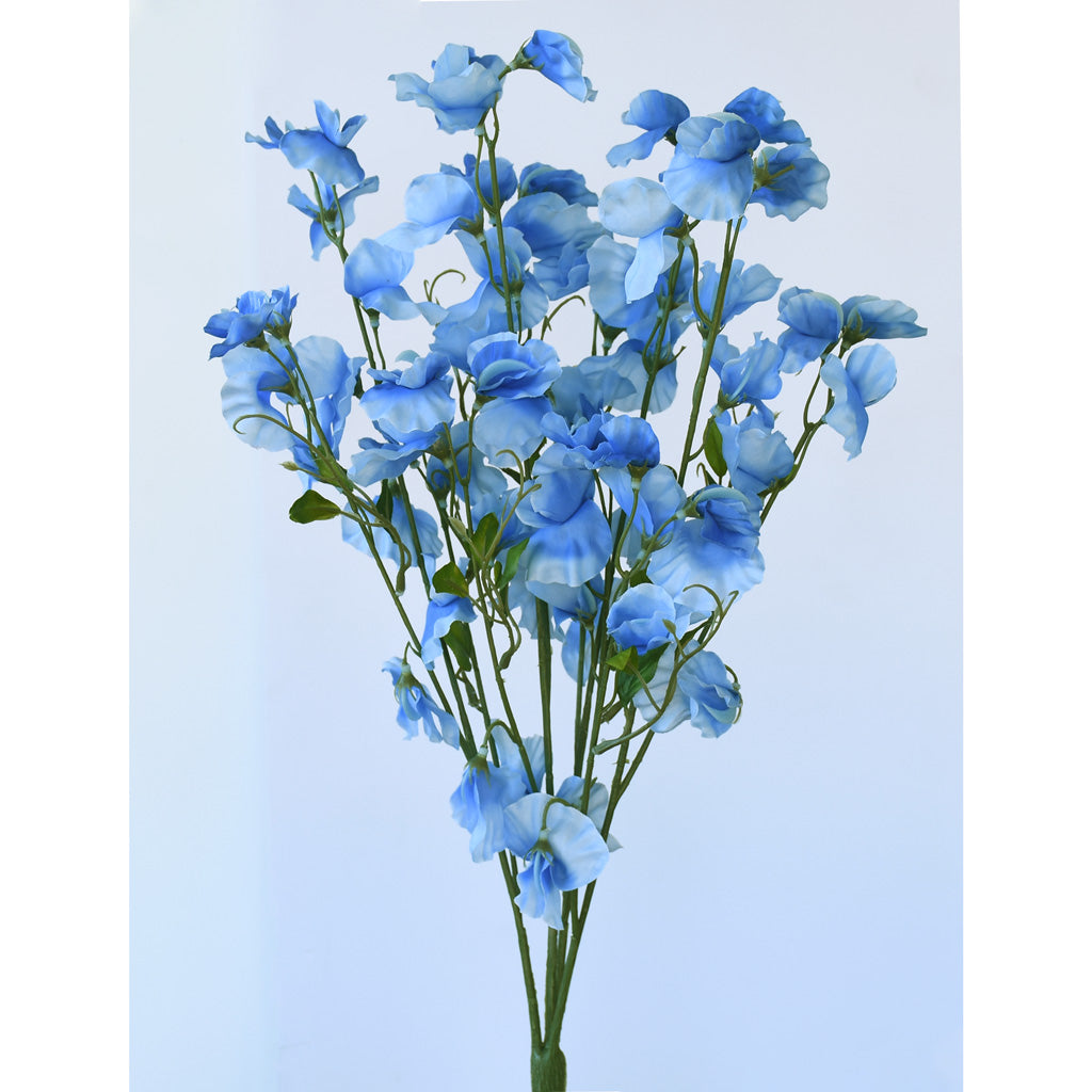 Sweet Pea Flowers - Light Blue