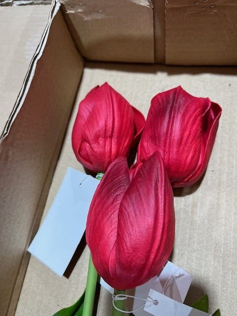 Tulip - Triumph - Kansas Red ✰✰✰ SPECIAL - 50% OFF ✰✰✰