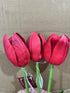 Tulip - Triumph - Kansas Red ✰✰✰ SPECIAL - 50% OFF ✰✰✰