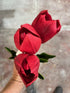 Tulip - Triumph - Kansas Red ✰✰✰ SPECIAL - 50% OFF ✰✰✰