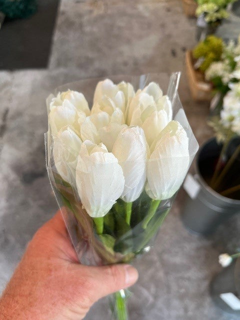 Tulip Presentation Bouquet with cello wrap - White