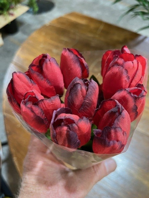 Tulip Presentation Bouquet with cello wrap - Red