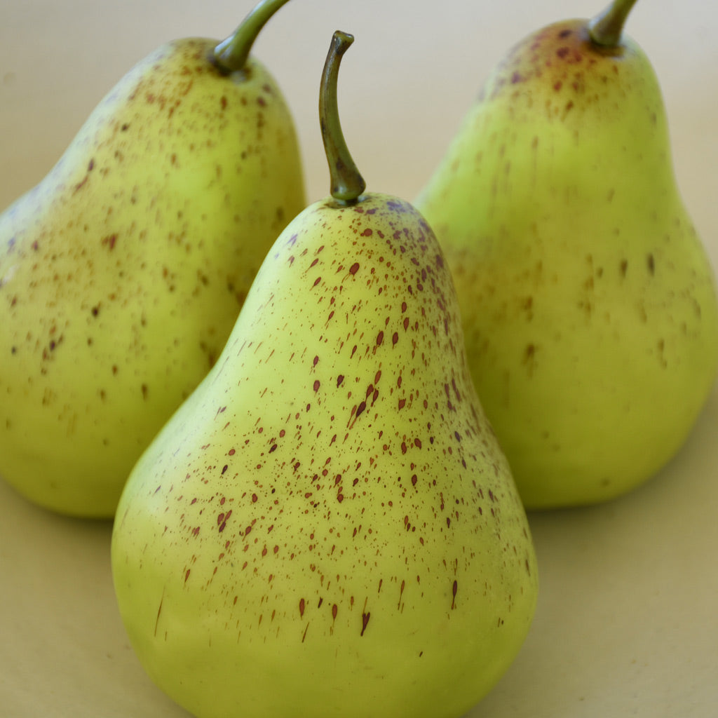 Open Pear Artificial Pear NZ | Buy Online | Artificial Fruit – Decor Flowers