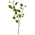 Apple foliage from Decorflowers.co.nz