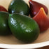 Artificial Avocado Fruit