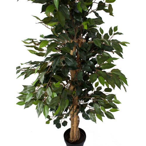 Artificial Ficus tree from www.decorflowers.co.nz