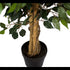 Artificial Ficus tree from www.decorflowers.co.nz. Close-up of trunk and pot