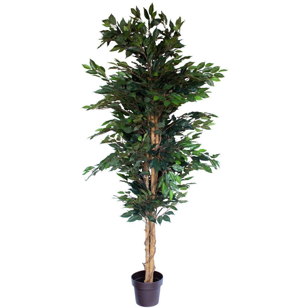 Artificial Ficus Tree NZ