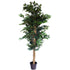 Artificial Ficus Tree NZ
