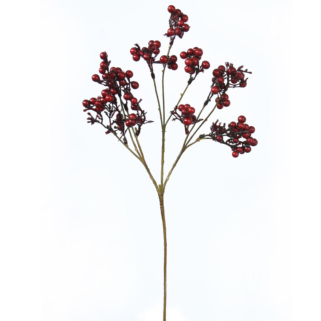 Karaka Berry Spray - Red - Box Lot Deal (6)