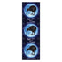 Three kiwi bird silhouettes in front of moon-like circles with 'Night Time Kiwi New Zealand' text.