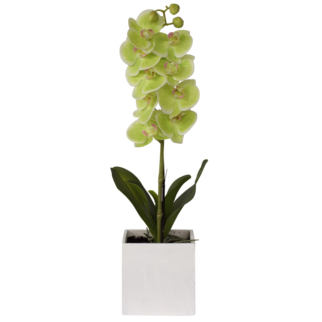 Potted artificial Orchid from decorflowers.co.nz
