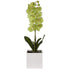 Potted artificial Orchid from decorflowers.co.nz