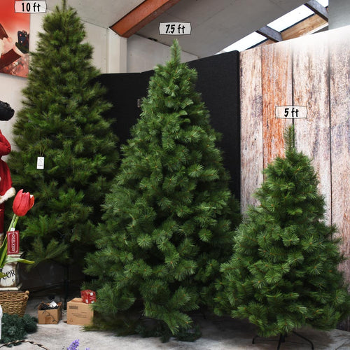 Christmas Tree - Artificial - NZ Pure Pine 10ft / 3.05m